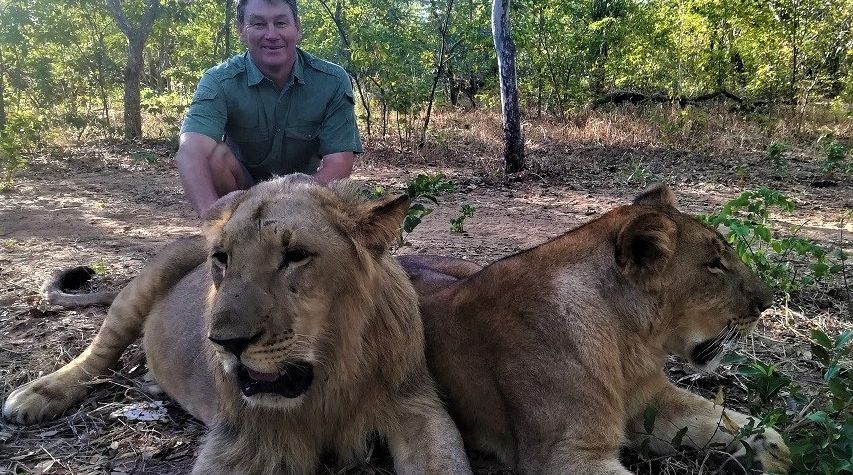 Прогулка со львами в Зимбабве